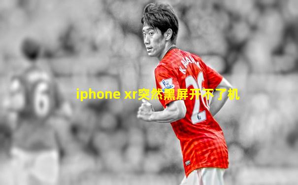iphone xr突然黑屏开不了机